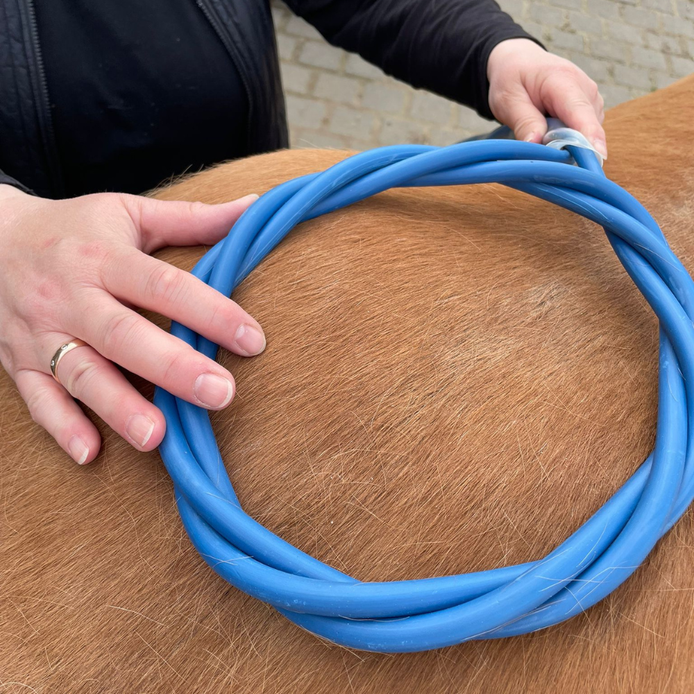 Pferd Kräuterkomplexe Pferd Kräuterkomplexe