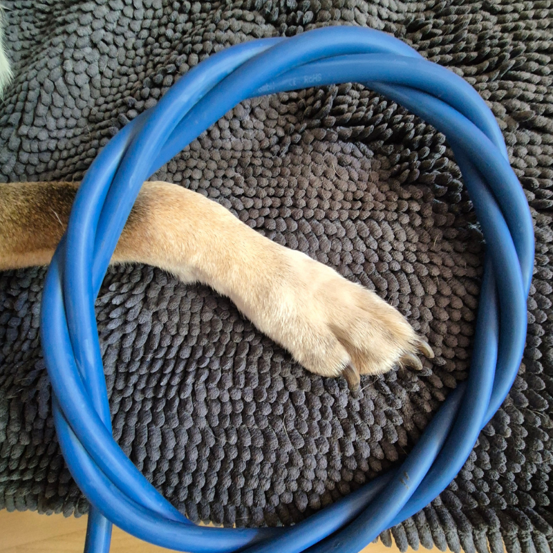 Hund Omnitron Hund Omnitron